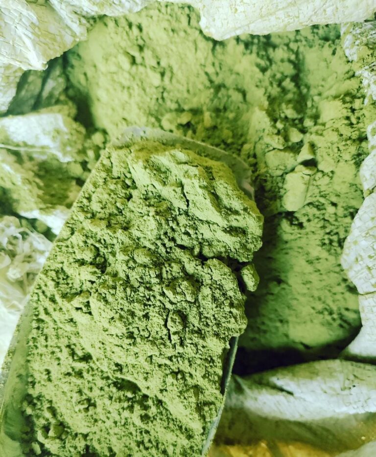 Moringa powder