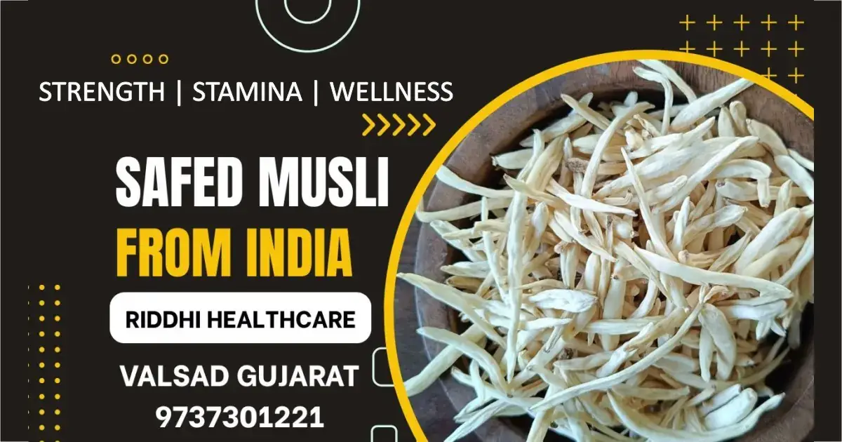 Safed Musli (Chlorophytum borivilianum) roots – Ayurvedic herb traditionally used for strength, stamina and vitality