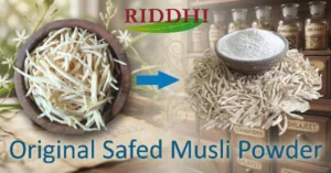 Original Safed Musli powder and dried roots on an Ayurvedic apothecary background