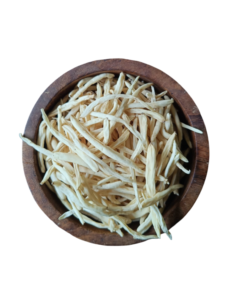 Original Safed Musli roots (Chlorophytum borivilianum) in wooden bowl - Premium quality raw herb from Valsad, Gujarat, India by Riddhi Healthcare