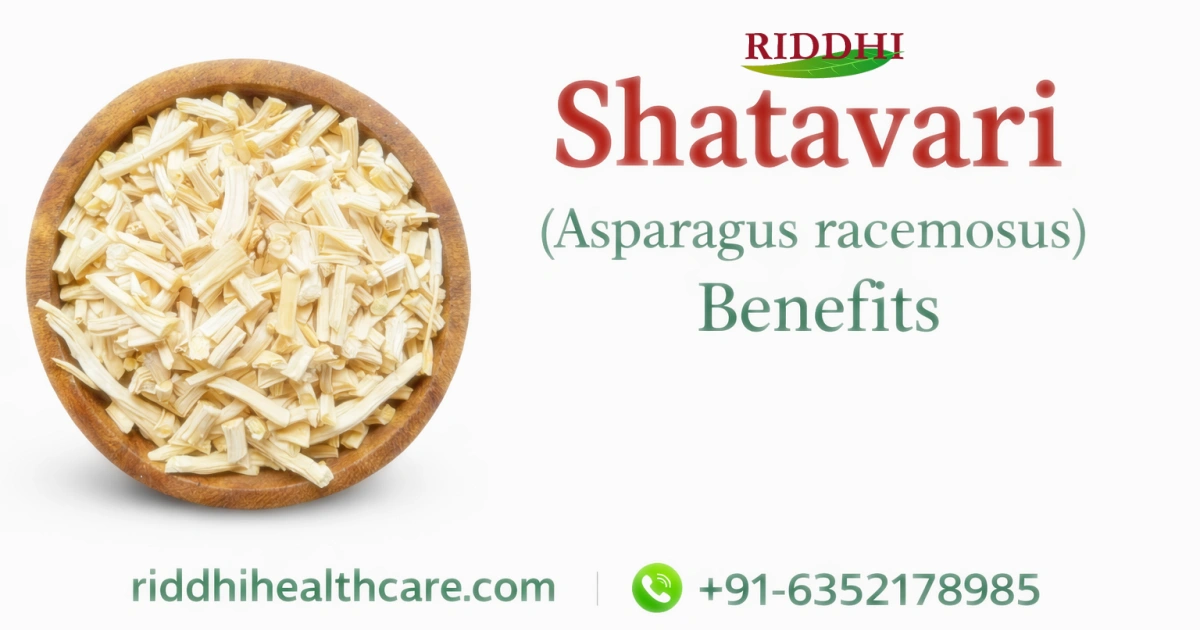 Shatavari benefits and uses by Riddhi Healthcare, Valsad