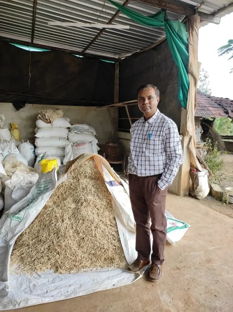 A man standing next to a large heap of harvested Safed Musli roots at a farm