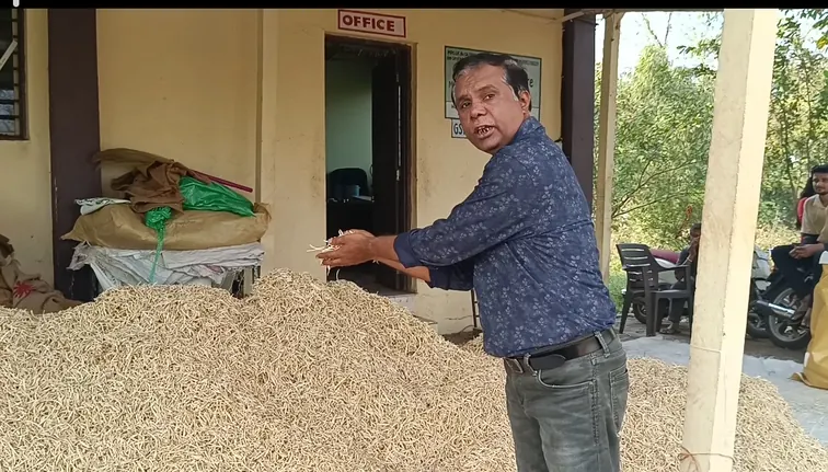 Dharmesh Shah of Riddhi Healthcare, a B.Sc. Botanist, personally inspecting a large heap of premium ivory-white Safed Musli roots outside his office in Valsad.