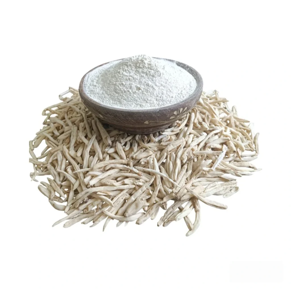 Premium ivory-white Safed Musli whole raw with a bowl of pure, unadulterated Safed Musli powder from Riddhi Healthcare.