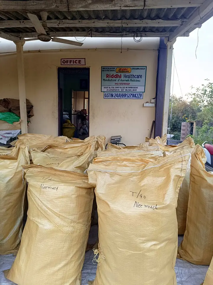 Bulk bags of Safed Musli professionally packed with bag closure machines at Riddhi Healthcare Valsad, ready for dispatch to Neemuch and Pan-India.