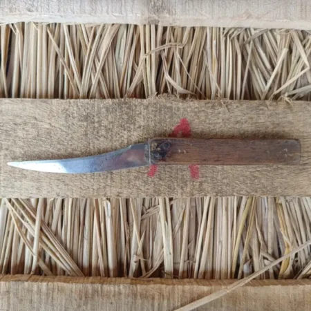 A curved peeling knife used for manual processing of Original Safed Musli tubers in Indian villages.