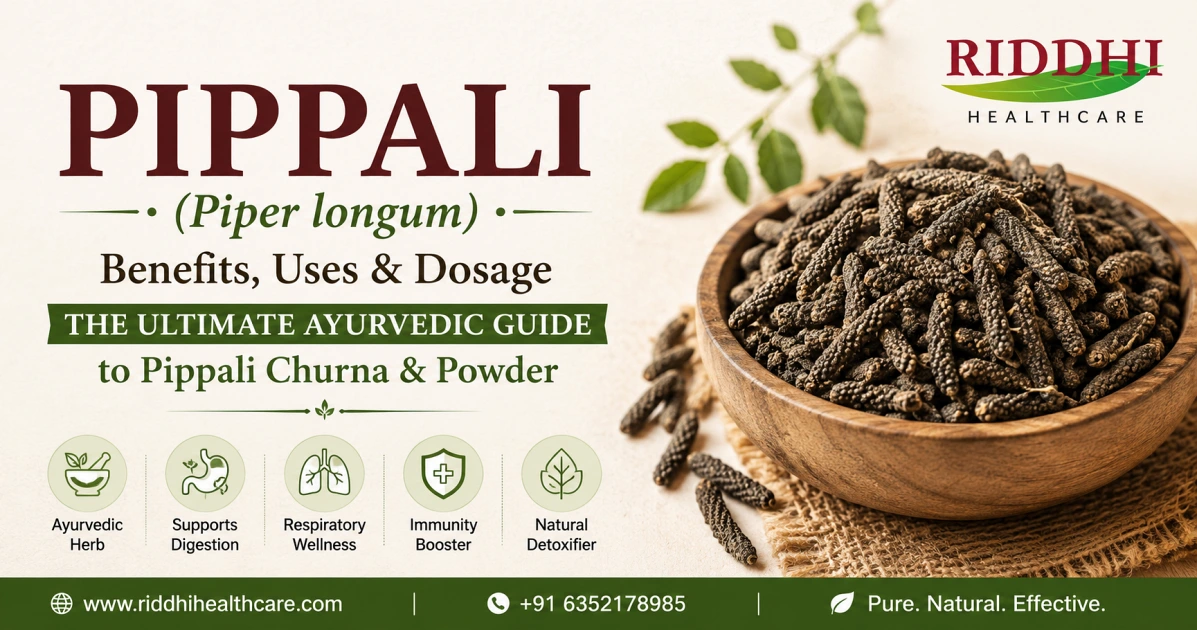 Pippali (Piper longum) - Benefits, Uses and Dose.