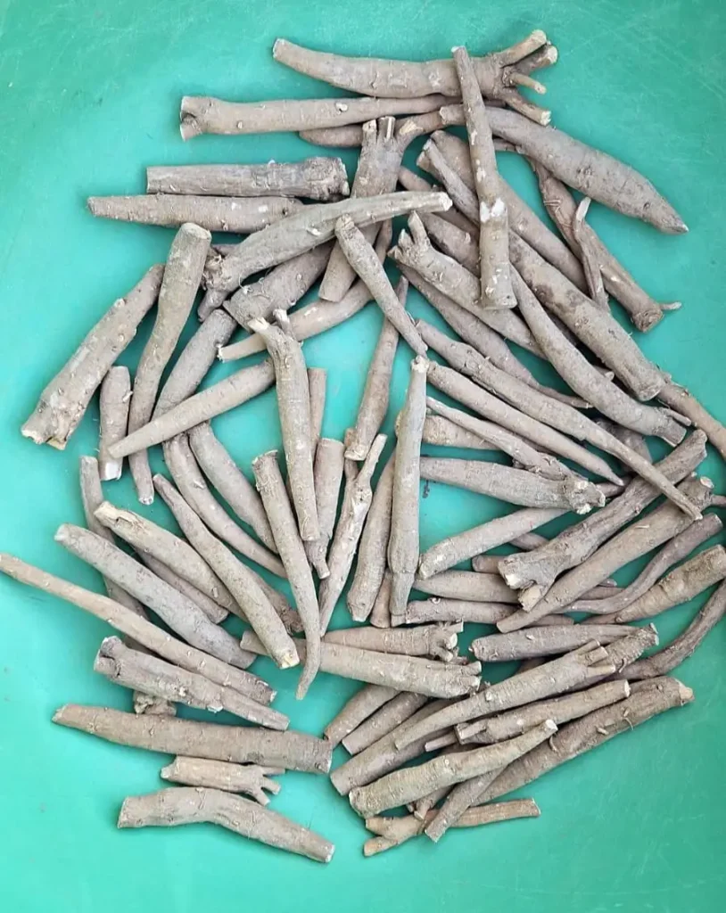 Ashwagandha Root, natural for your ashwagandha powder