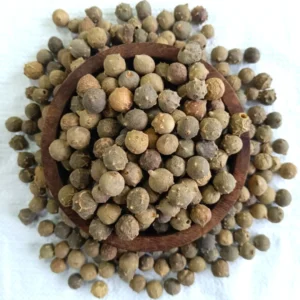 Premium quality whole and Pure Maju Phal Mayaphal in a wooden bowl sourced by Riddhi Healthcare Valsad